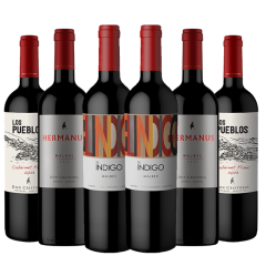 Vinos de Exportación