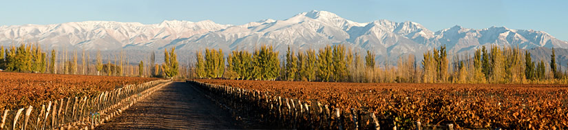 Bodega Cinco Sentidos