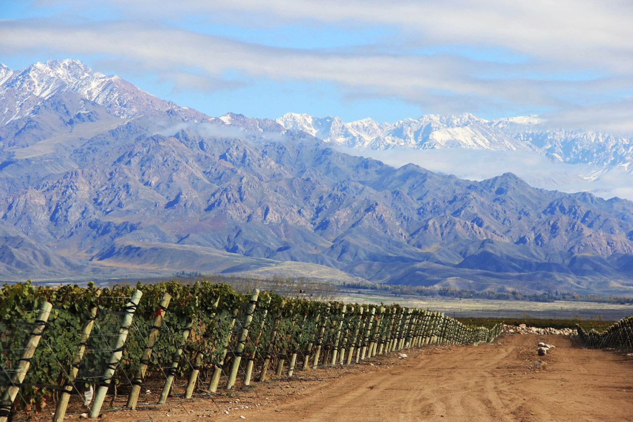 Bodega Zuccardi Argentina