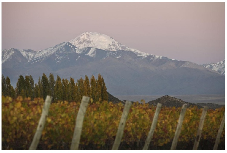 Bodega Atamisque